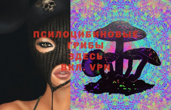 стаф Богородск