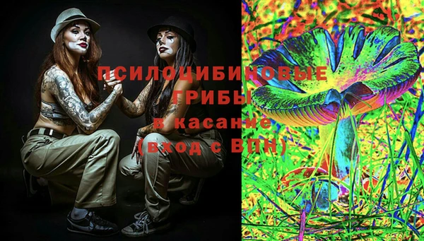 трава Богданович